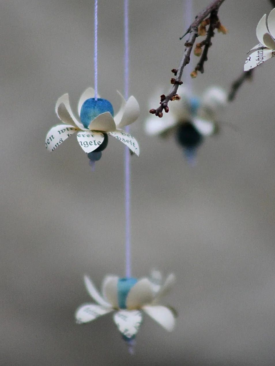 Blaue Bl&uuml;te 3