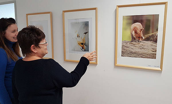 Wechselnde Ausstellungen in der Kreisvolkshochschule Harz