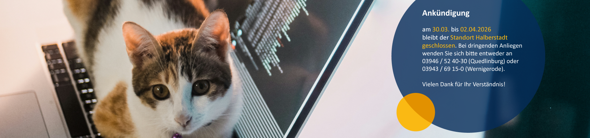 Eine Katze liegt entspannt auf einer Laptop-Tastatur. Am rechten Bildrand weist ein blauer Kreis auf die Schließzeit des Standorts Halberstadt der kvhs Harz vom 30. März bis 2. April 2026 hin. Das Bild kombiniert eine aufmerksamkeitsstarke Darstellung mit einer klaren organisatorischen Information.